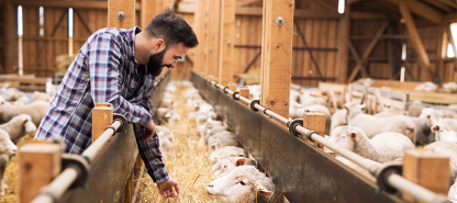 How Your Investment Supports Global Food Security